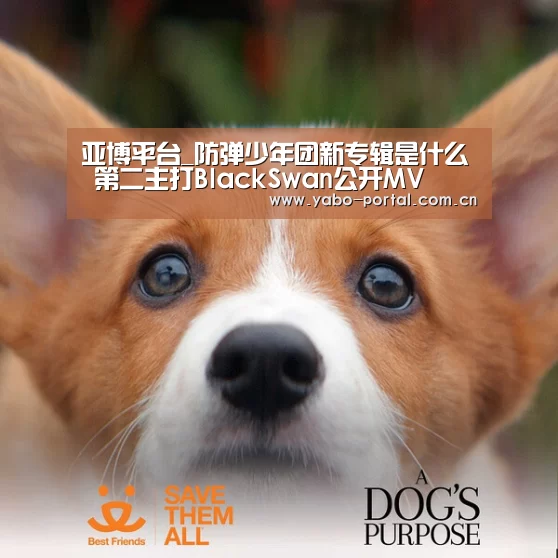 亚博体育