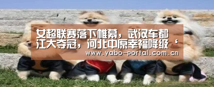 女超联赛落下帷幕,武汉车都江大夺冠,河北中原幸福降级‘亚博体育’(图1) 亚博平台
